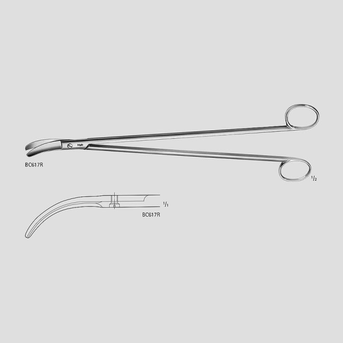 Septic Scissors Rectal Scissors – Tool de Surgical