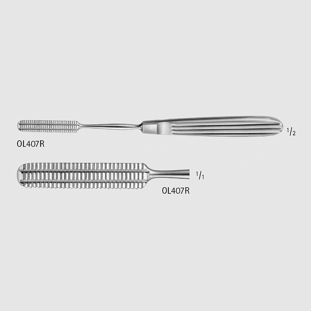 MALTZ Bone Rasp – Tool de Surgical